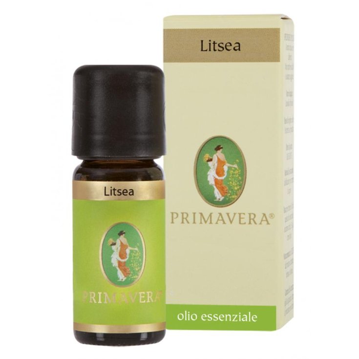 Litsea Conv Ätherisches Öl 10ml