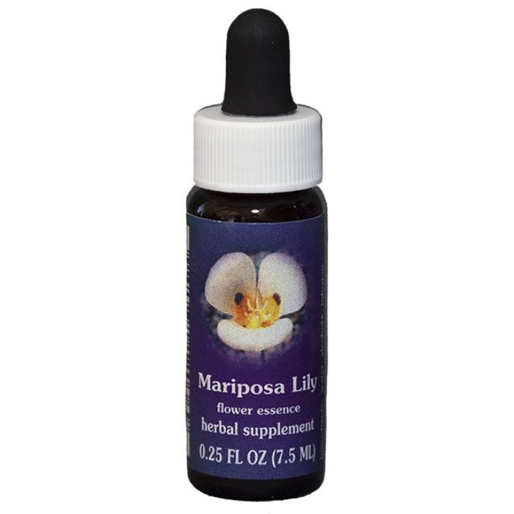 Mariposa Lily Kalifornische Essenzen 7,4ml