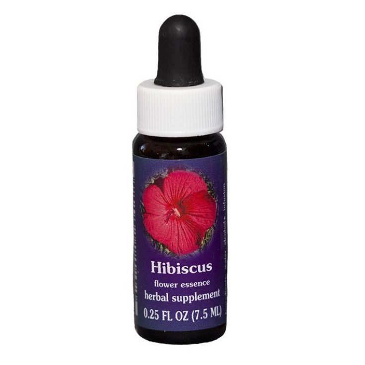 Hibiskus Kalifornische Essenzen 7,4ml