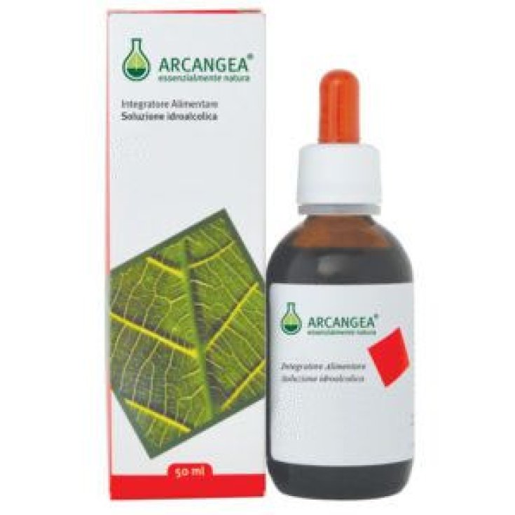 Hypericum Sol Ial 50ml