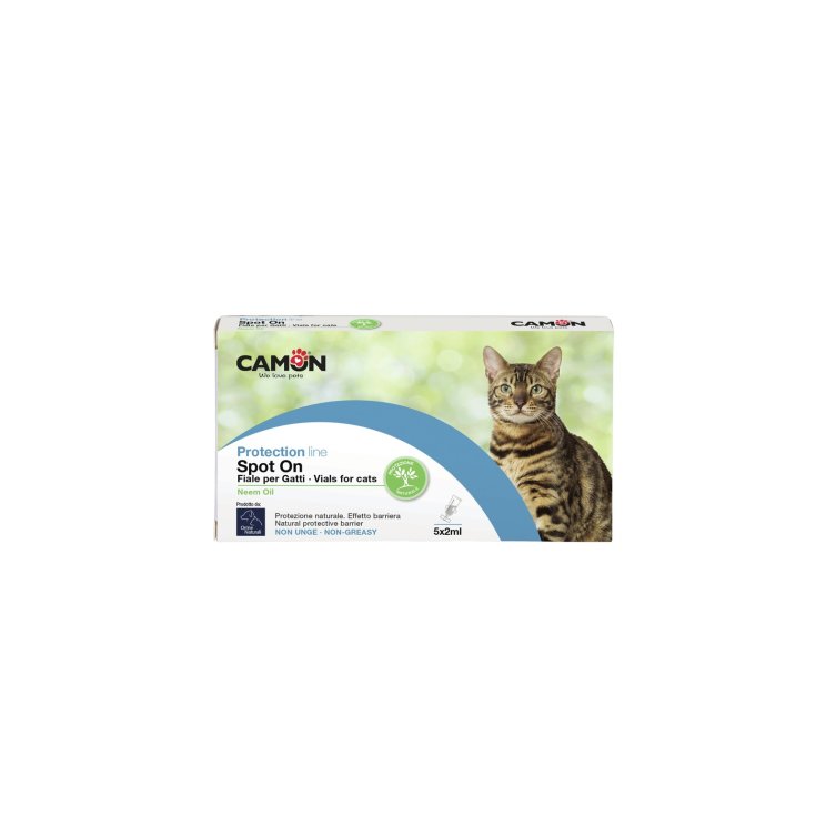 Schutzspoton Katze 5x2ml