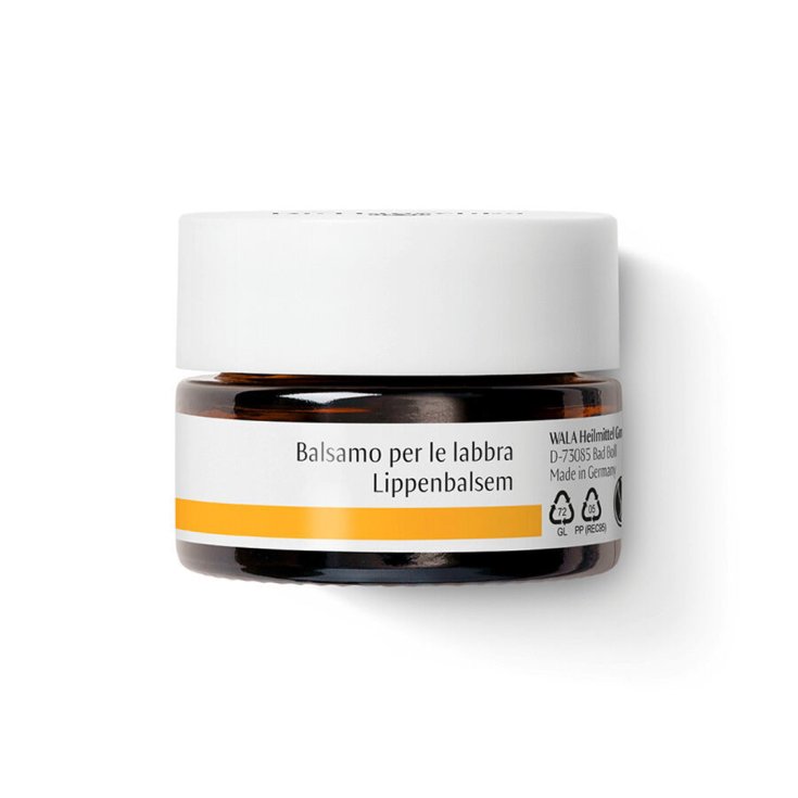 Dr.Hauschka Lippenbalsam 4,5g
