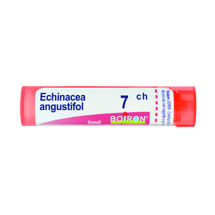 Boiron Echinacea Angustifolia 7ch Granulat Homöopathisches Mittel