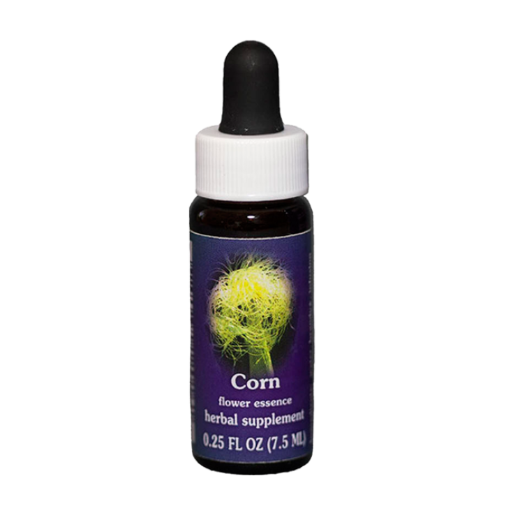 Maisessenzen Kalifornisch 7,4ml