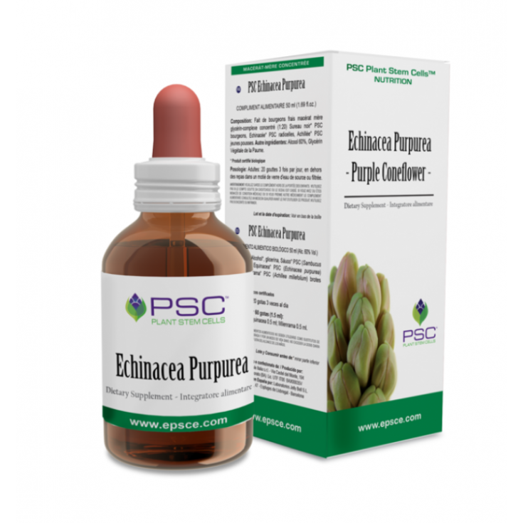 Forza Vitale PSC Echinacea Purpurea Nahrungsergänzungsmittel 15ml