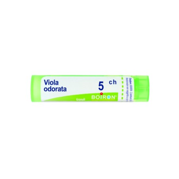 Boiron Viola Odorata 5CH Granulat Homöopathische Medizin