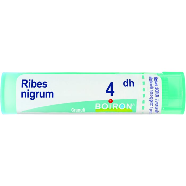 Boiron Ribes Nigrum 4DH Granulat Homöopathische Medizin