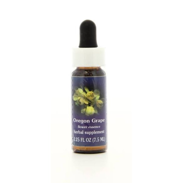 Mahonie kalifornische Essenzen 7,4ml