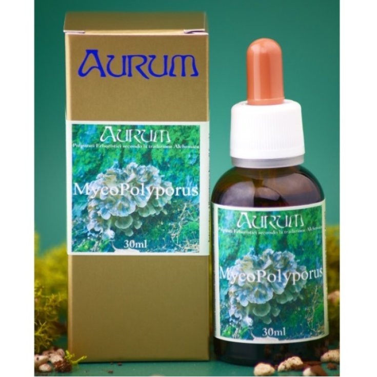 Aurum Mycopolyporus Tropfen 30ml