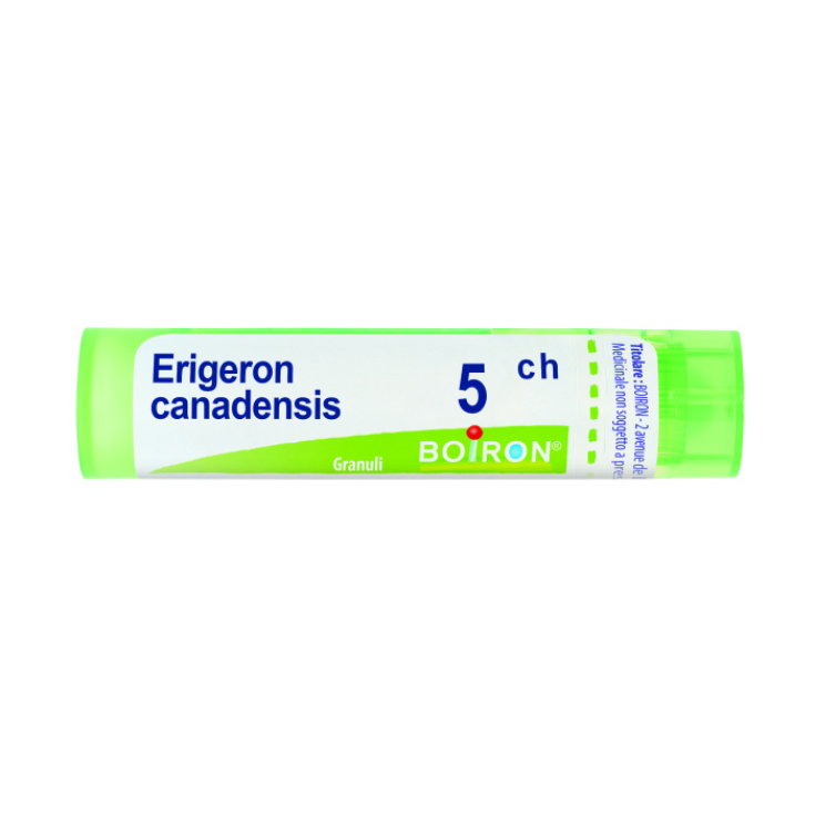 Boiron Erigeron Canadensis 5CH Granulat Homöopathisches Mittel