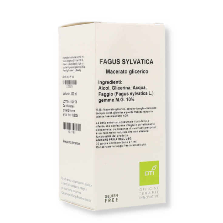 Oti Fagus Sylvatica Knospenextrakt 10% Tropfen 100ml