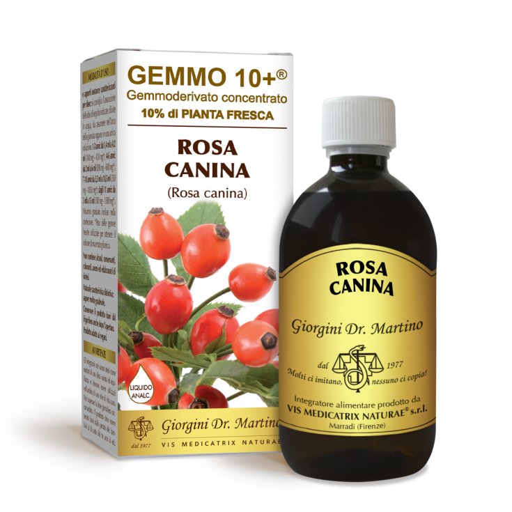 G10 + Rosa Canina Alkoholfreie Flüssigkeit Dr. Giorgini 500ml