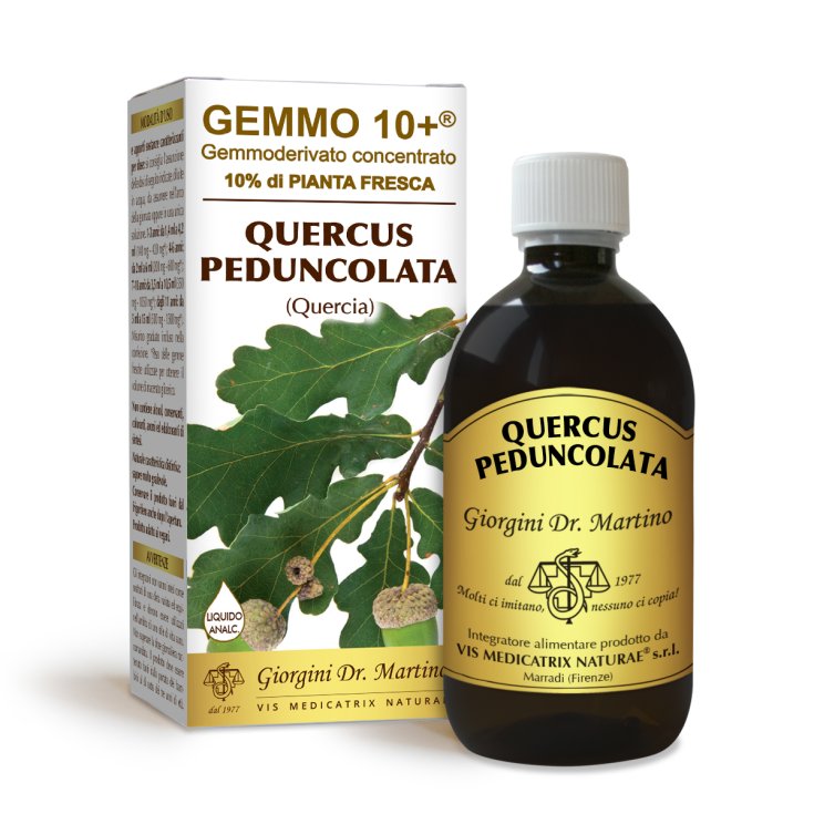 G10 + Quercia Peduncolata Alkoholfreie Flüssigkeit Dr. Giorgini 500ml