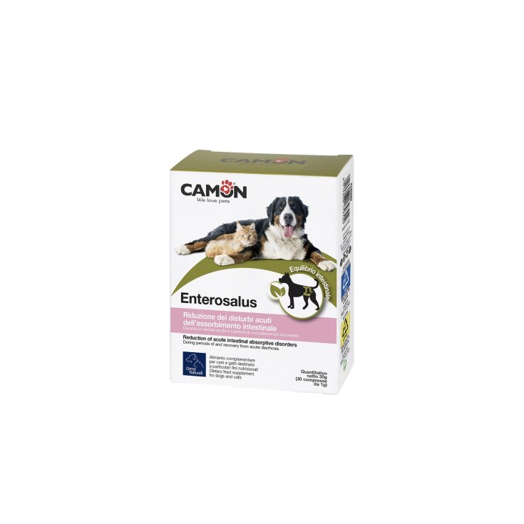 Camon Enterosalus Nahrungsergänzungsmittel 30 Tabletten von 1g