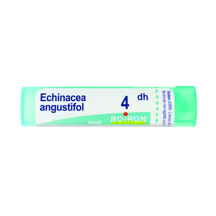 Boiron Echinacea Angustifolia 4dh Granulat Homöopathisches Mittel