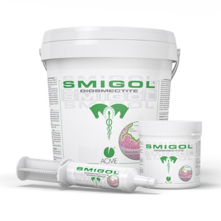 Acme Smigol Pulver Ergänzungsfuttermittel für Pferde 1kg