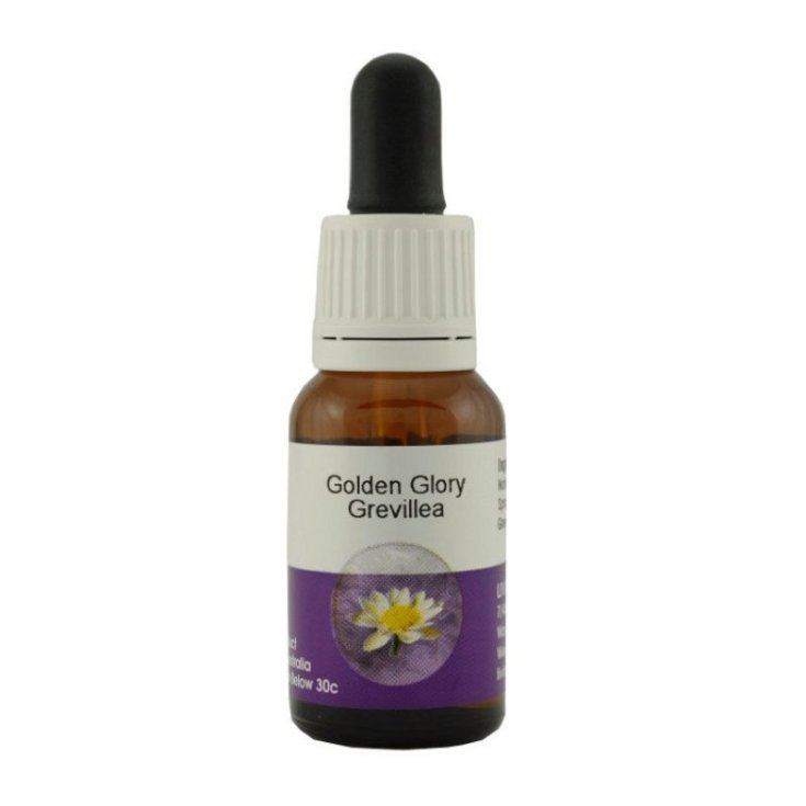 Natur Golden Glory Grevillea Nahrungsergänzungsmittel 15ml