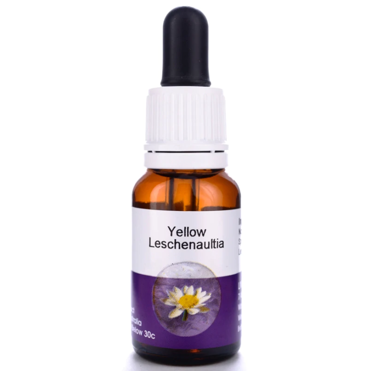 Natur Yellow Leschenaultia Ergänzungstropfen 15ml