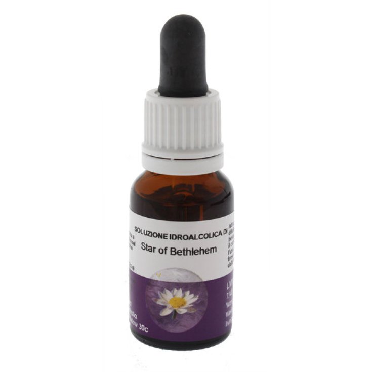 Natur Star of Bethlemm Bachblüten Essenz Nahrungsergänzungsmittel 15ml