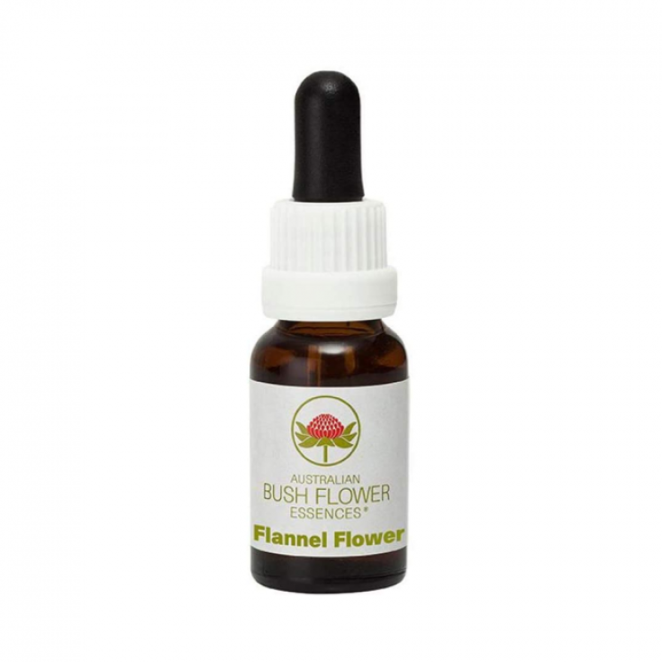 Natur Flanell Blütenessenz 15ml