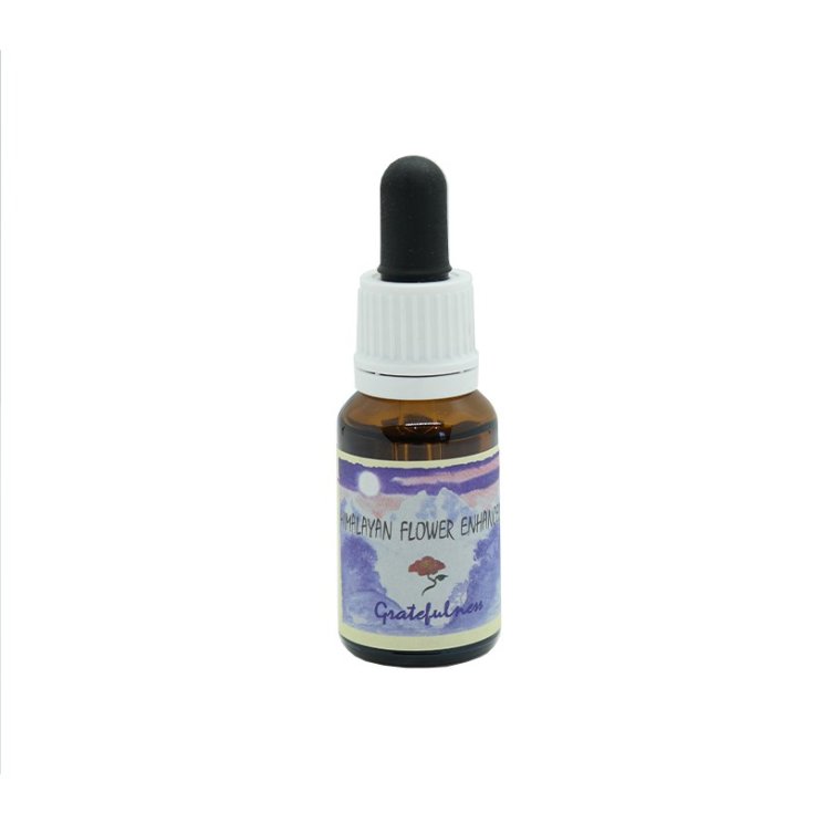 Natur Dankbarkeit Essenz 15ml