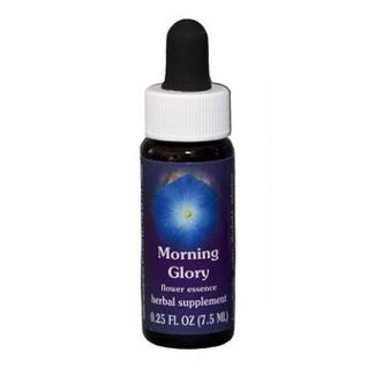 Natur Morning Glory (Ipomoea Purpurea) Kalifornische Essenz 7,4ml