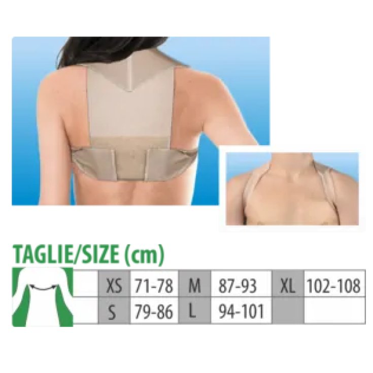 Budetta Farma Cliaortho Schulterstrecker Gr. XL 1 Stück