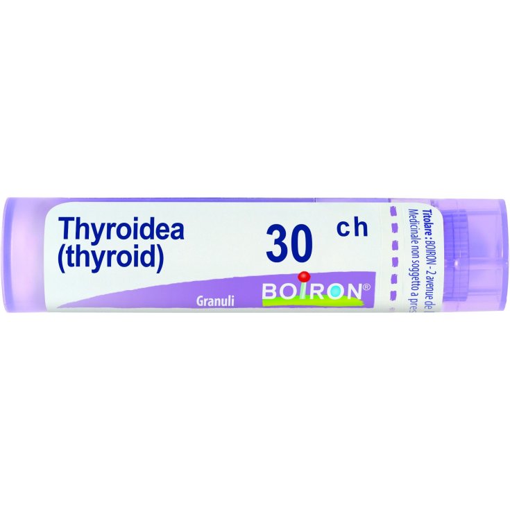 Thyroidinum 30 ch Boiron Einzeldosis Globuli 1g