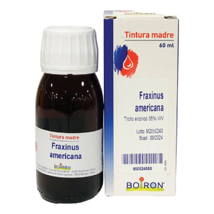 Boiron Fraxinus Americana Urtinktur 60ml