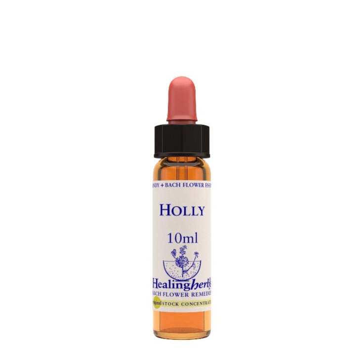 Natur Holly Essence Homöopathisches Heilmittel 10ml