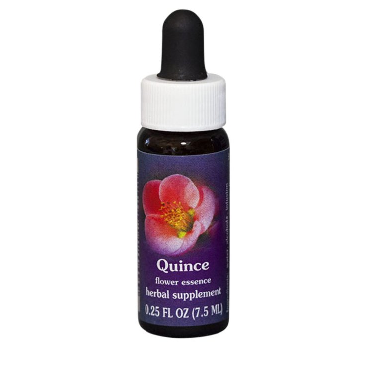 Quitte Kalifornische Essenzen 7,4ml