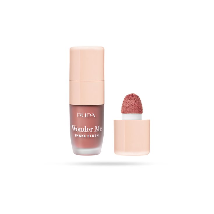 * PUPA KOLLEKTION SUMMER BLUSH ME 01