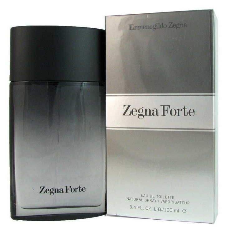 Ermenegildo Zegna Forte Eau de Toilette Zerstäuber 100ml