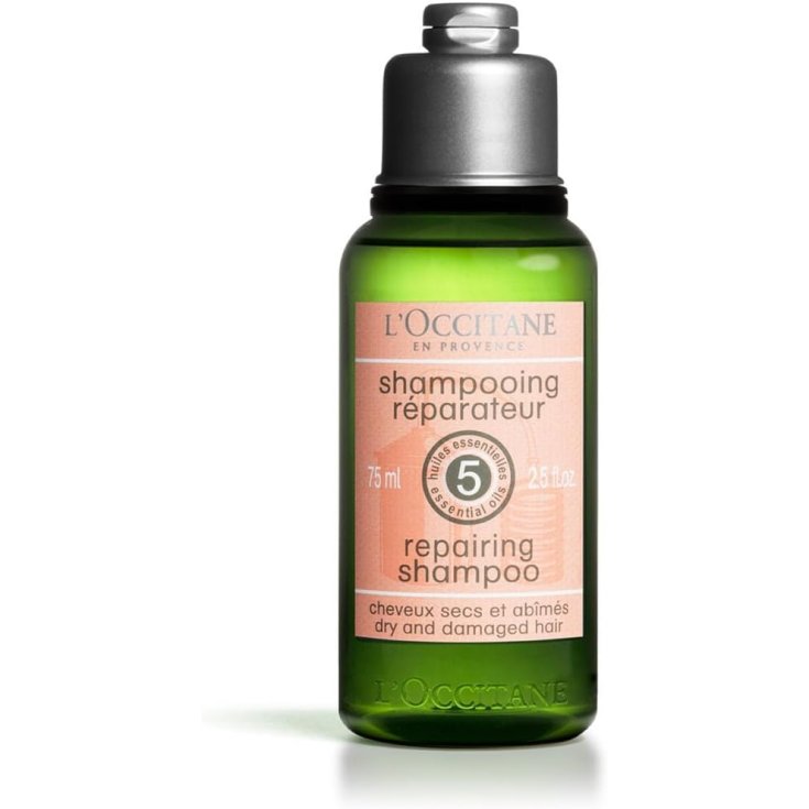 L'Occitane Aromachology Reparierendes Shampoo 75ml
