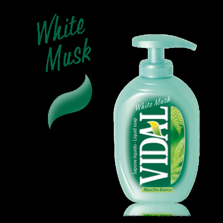 * VIDAL SAP LIQ WILDER MOSCHUS 300 ML