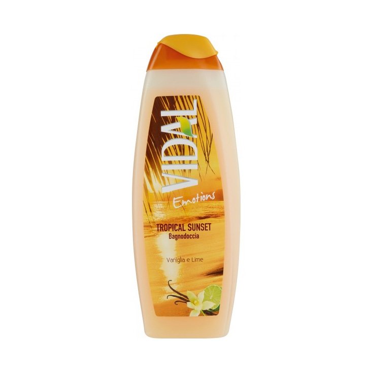 VIDAL B / S VANILLE UND LIME 500 ML