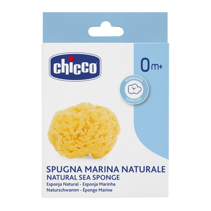 Natürlicher Meeresschwamm - Medium Chicco®