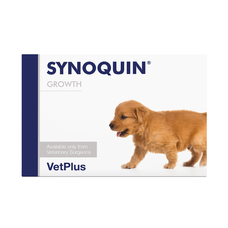 Synoquin Wachstum 60 Tabletten