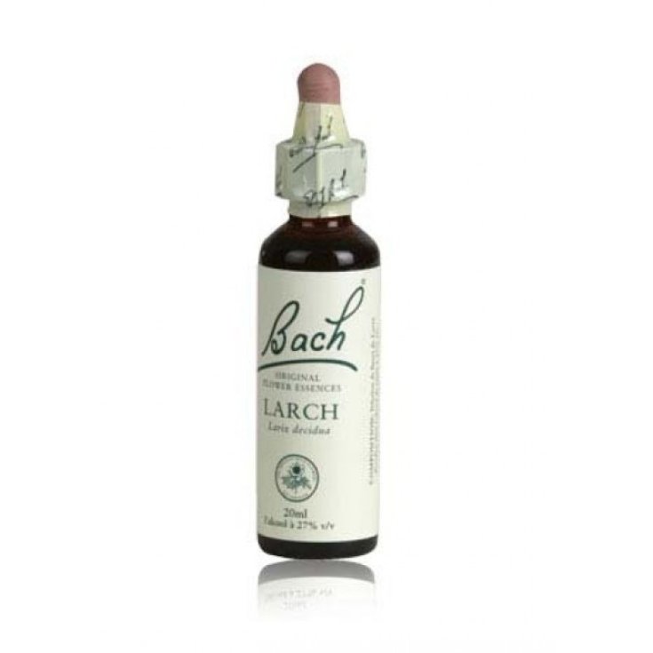 Schwabe Lärche Bachblüten Oregano 20ml