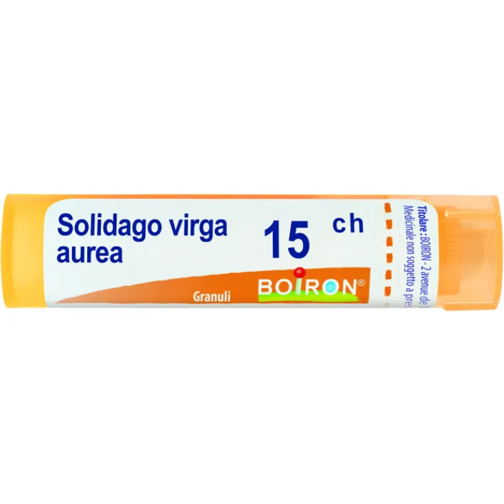 Boiron Solidago Virga Aurea 15ch Homöopathisches Mittel in Granulat