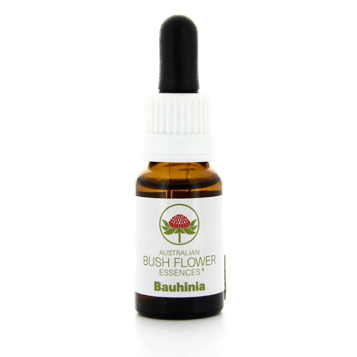 Bauhinia-Essenz 15ml