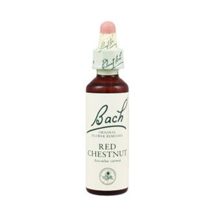 Red Chestnut Bach® Original Blumen 20ml