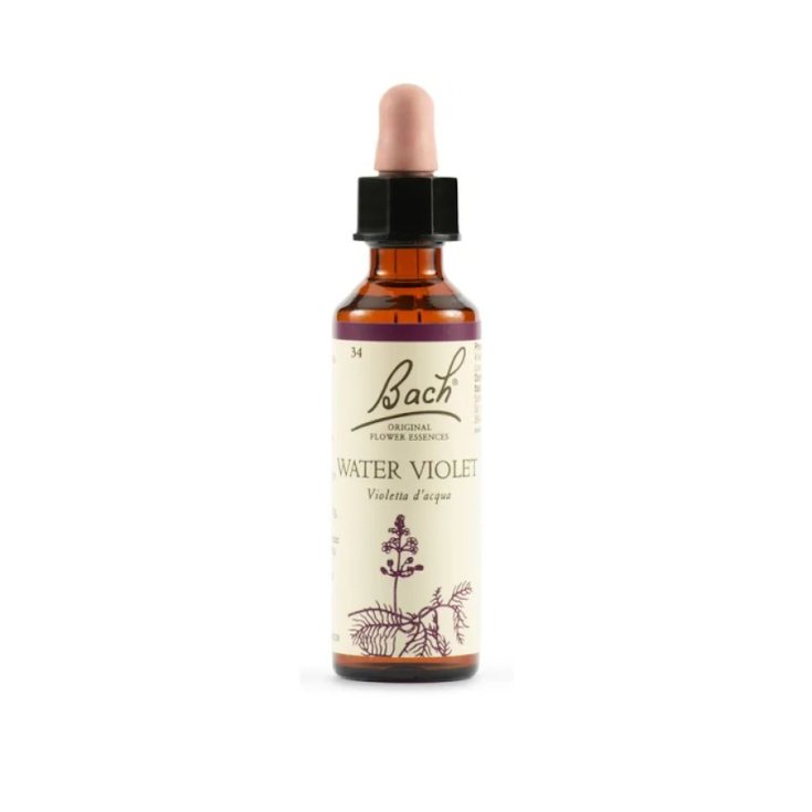 Wasserviole Bach Orig. 20ml