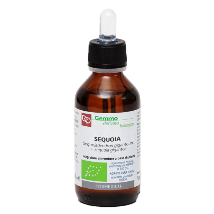 Mazeriertes glyzeriniertes Sequ100ml