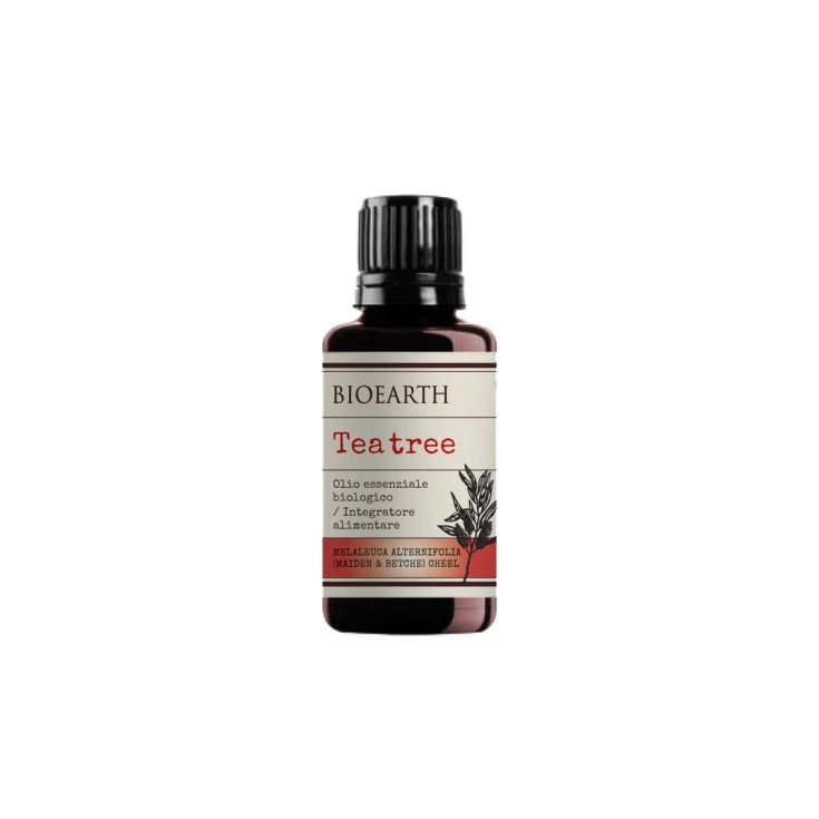 BioEarth Teebaum Bio Ätherisches Öl 10ml