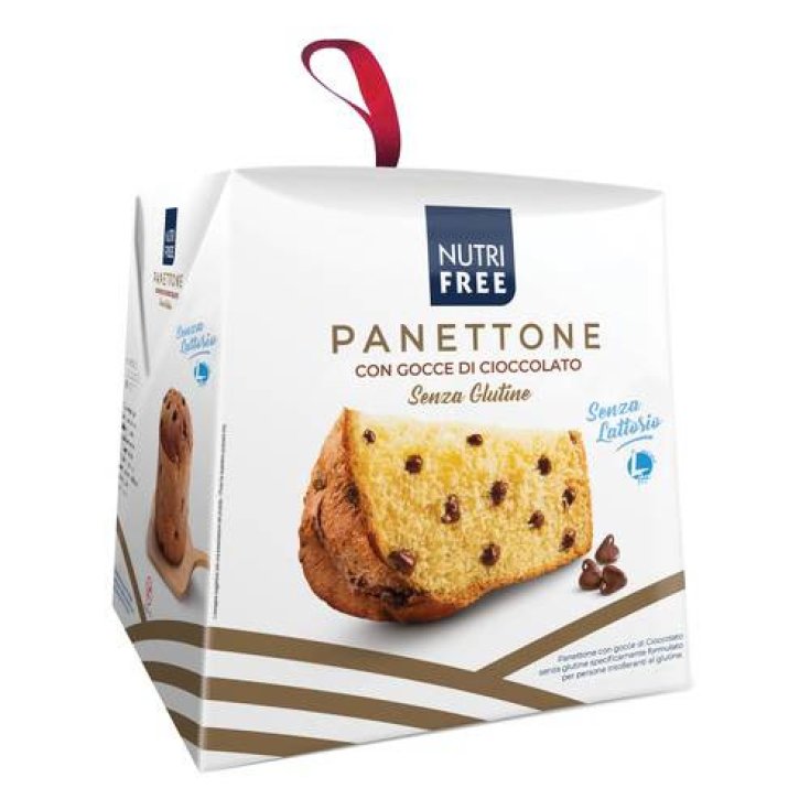 Panettone mit Nutrifree Chocolate Drops 600g