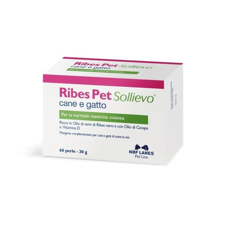 Currant Pet Relief Hund und Katze NBF Lanes 60 Perlen