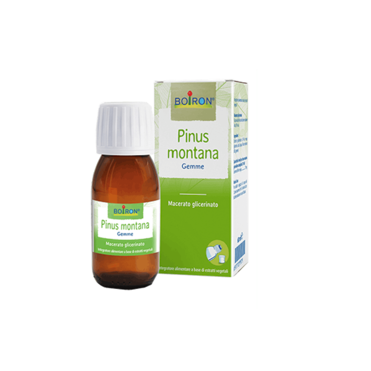 Pinus Montana Boiron 60ml