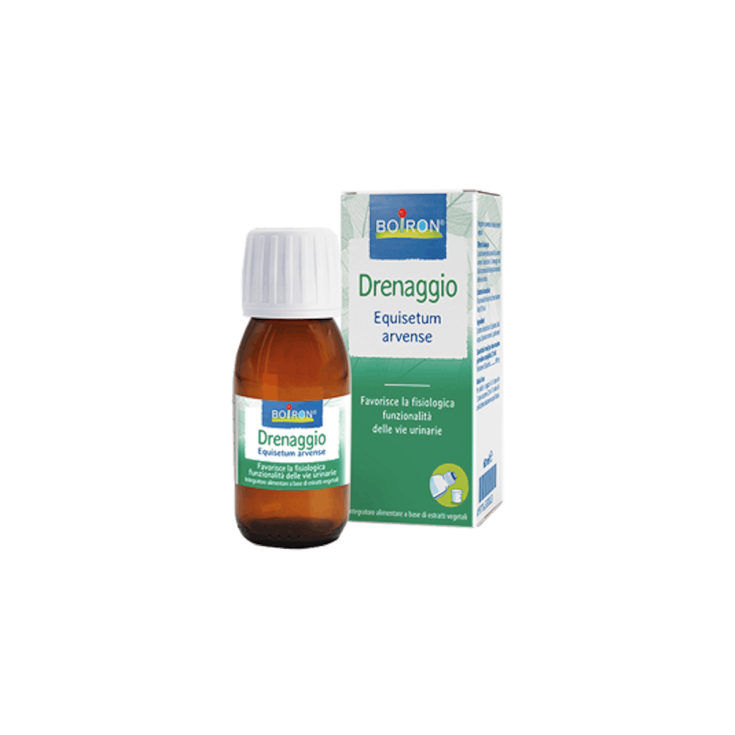 Equisetum Arvens Boiron® Hydroalkoholischer Extrakt 60ml INT