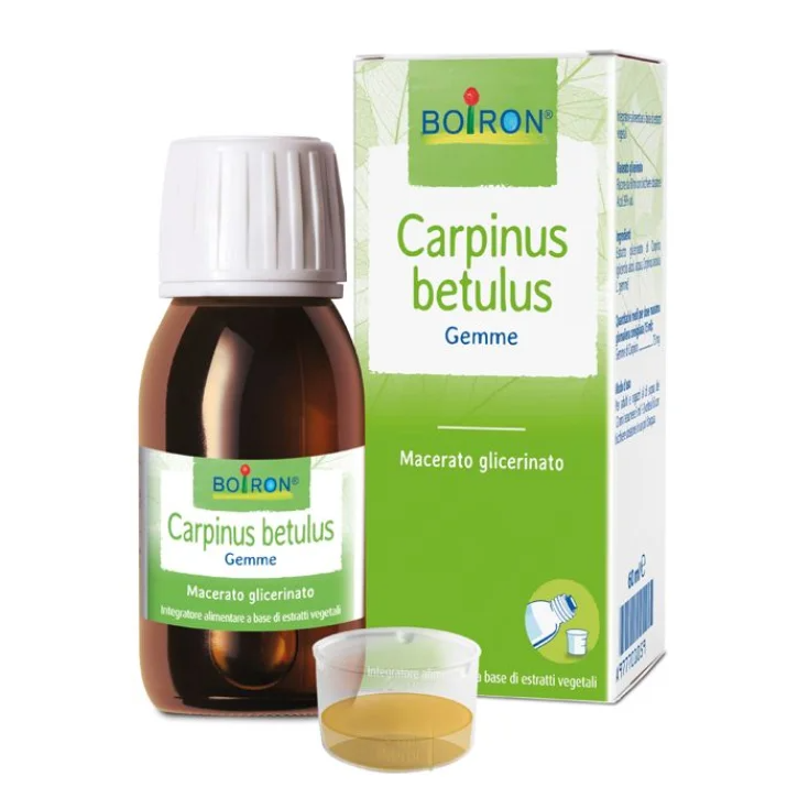 Carpinus Betulus Mazerat Glyzerin Boiron® 60ml